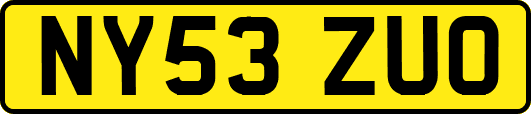 NY53ZUO