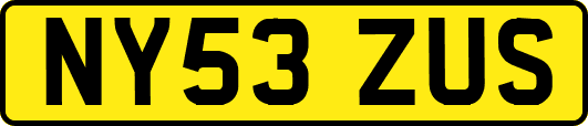 NY53ZUS