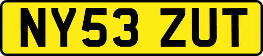 NY53ZUT