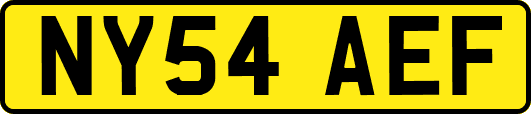 NY54AEF