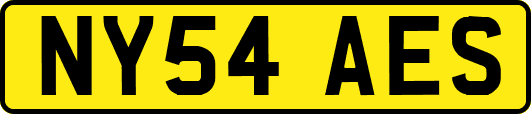 NY54AES