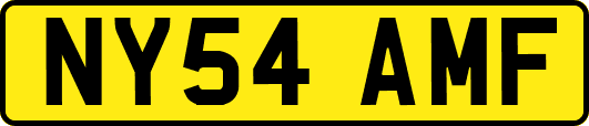 NY54AMF