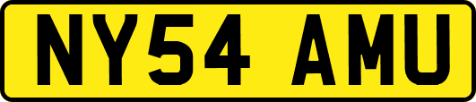 NY54AMU