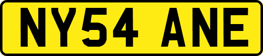 NY54ANE