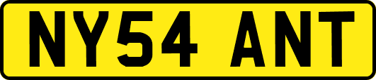 NY54ANT