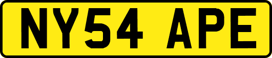 NY54APE