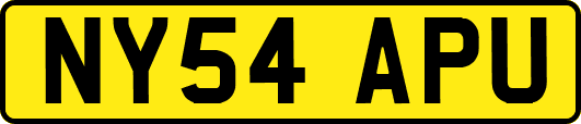NY54APU
