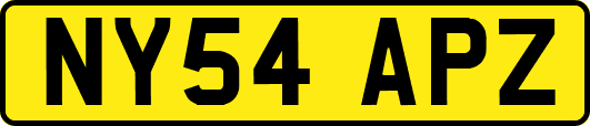 NY54APZ