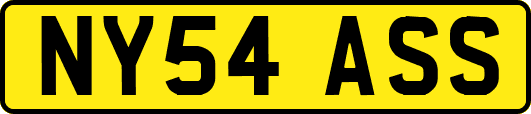 NY54ASS