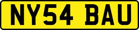 NY54BAU