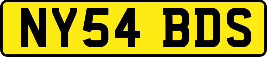 NY54BDS