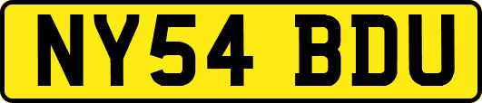 NY54BDU