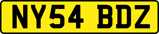 NY54BDZ