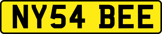 NY54BEE