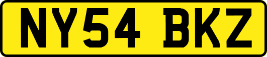 NY54BKZ