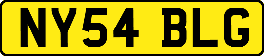 NY54BLG