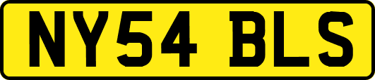 NY54BLS