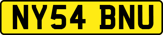 NY54BNU