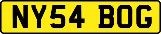 NY54BOG
