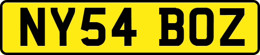 NY54BOZ
