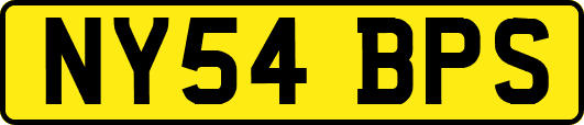 NY54BPS