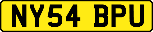 NY54BPU