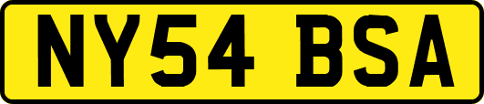 NY54BSA