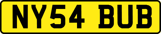 NY54BUB