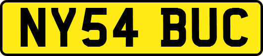 NY54BUC