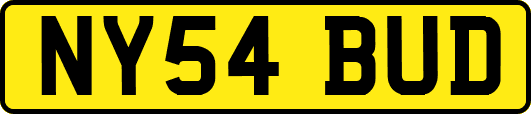 NY54BUD