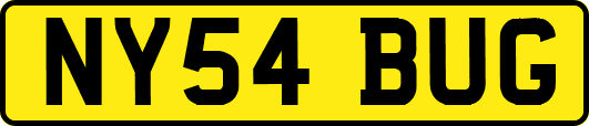 NY54BUG