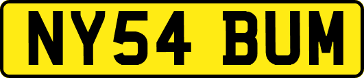 NY54BUM