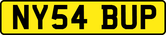 NY54BUP