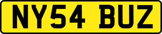 NY54BUZ