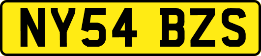 NY54BZS
