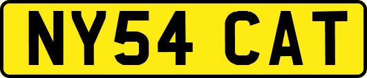 NY54CAT