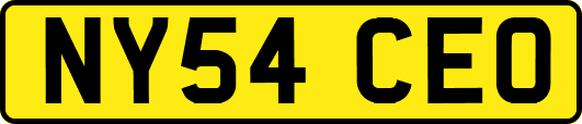 NY54CEO