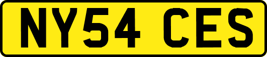 NY54CES