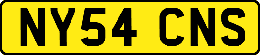 NY54CNS