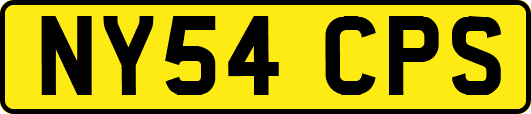 NY54CPS