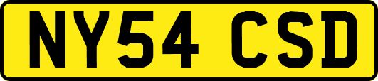 NY54CSD