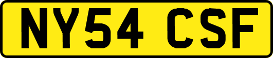 NY54CSF