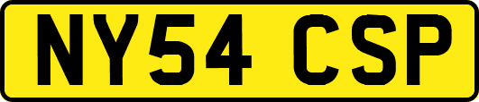NY54CSP