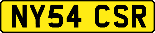 NY54CSR