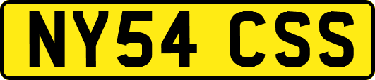 NY54CSS