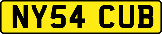 NY54CUB