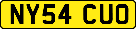 NY54CUO