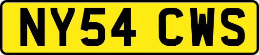NY54CWS