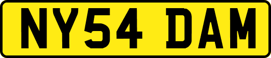 NY54DAM