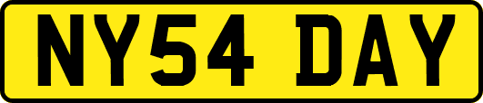 NY54DAY